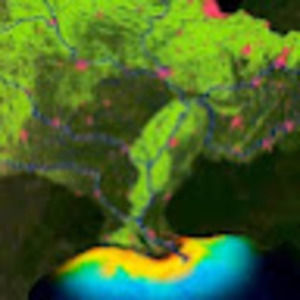 Meet your Posher, Jimi